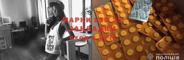 индика Алзамай