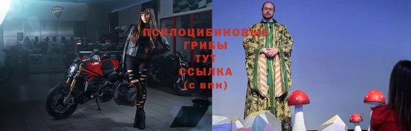 индика Алзамай