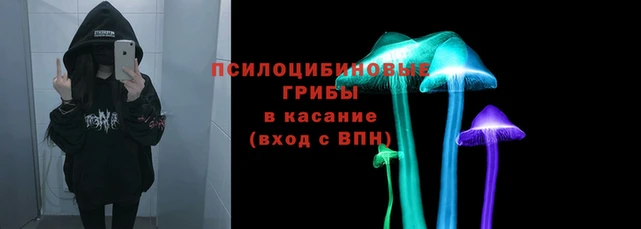 индика Алзамай