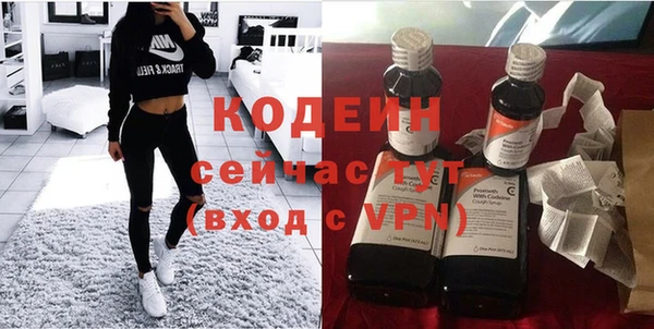 индика Алзамай