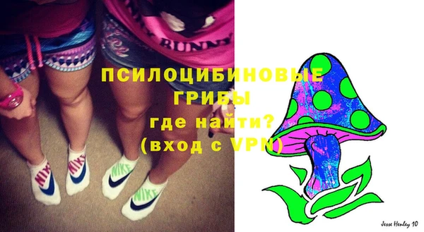 apvp Алексеевка