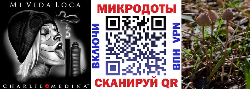 Псилоцибиновые грибы прущие грибы  Арамиль 
